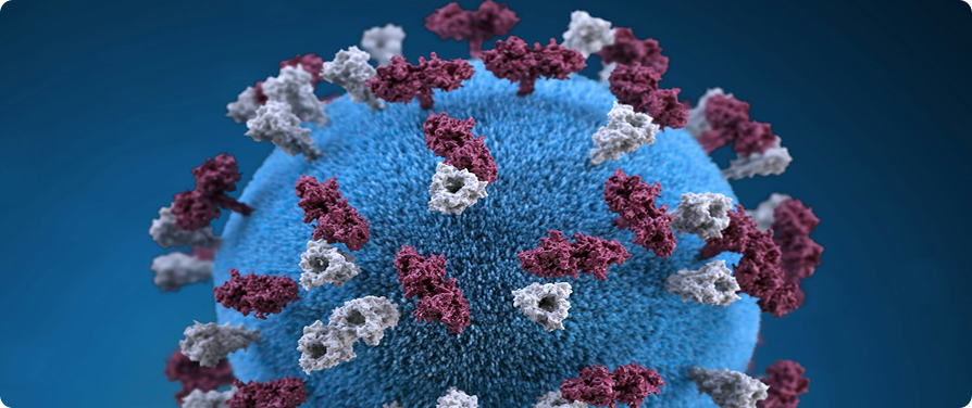 internal medicine hero