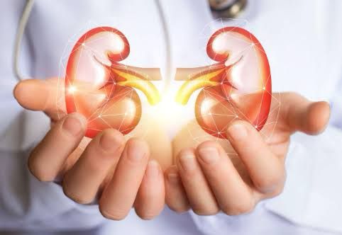 5 Simple Habits That Protect Your Kidneys