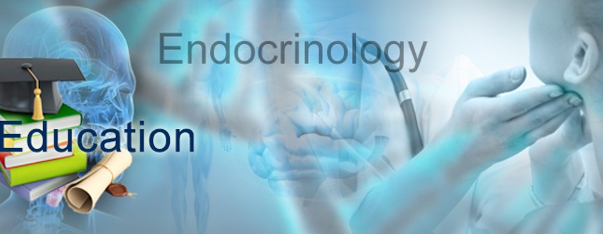 endocrinology