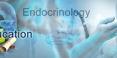 endocrinology