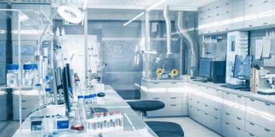 lab