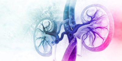 nephrology